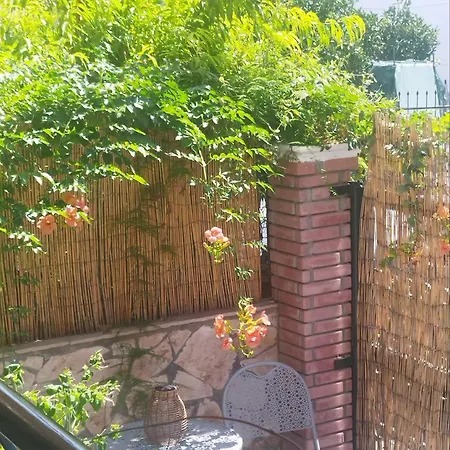 Bloom In The City- Cozy With Private Garden